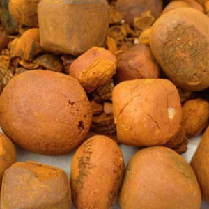Ox Gallstones for sale #cattlesforsalesouthafrica #cattles #goatsforsale #buyyourgoatshere #buyeggs #sheep #goats #sheepforsale #wherecanibuygoats #horses #sheep #goatsavailableforsale #canibuygoats #cattleforsale #cheapgoats #cheapeggs #cheapcattle #cheaphorses #cheapanimalsforsale #boergoats #boeranimalsforsale #boergoatsforsale #goatpricessouthafrica #sheeppricessountafrica #eggpricessouthafrica #frozenchicken #chicks #chickensforsale #chicksforsaleinsouthafrica