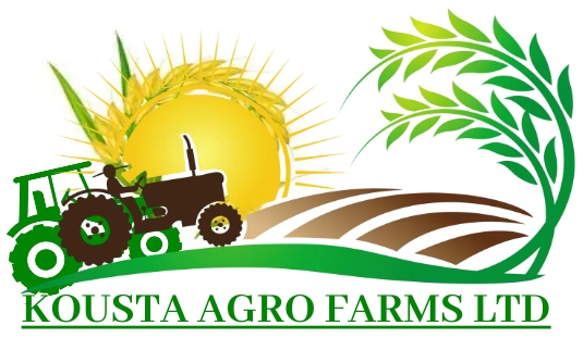 KOUSTA AGRO FARMS